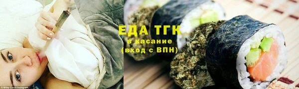 прущие грибы Абаза