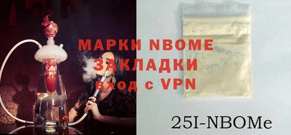 прущие грибы Абаза
