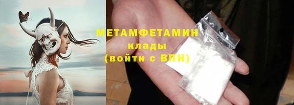 прущие грибы Абаза