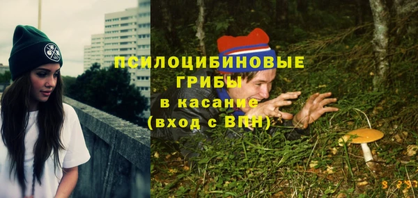 прущие грибы Абаза