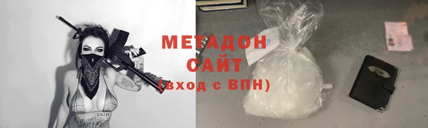 прущие грибы Абаза