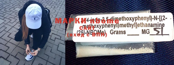 прущие грибы Абаза