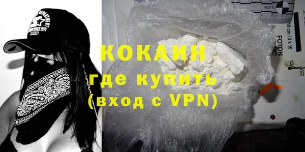прущие грибы Абаза