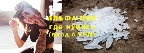 прущие грибы Абаза