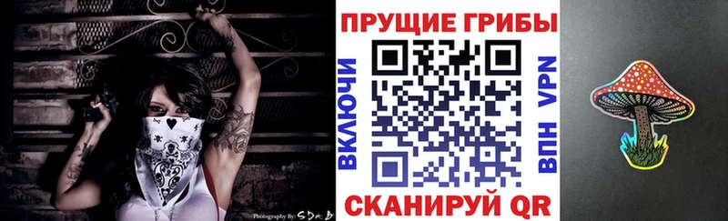 купить наркотики цена  Ладушкин  Псилоцибиновые грибы мухоморы 